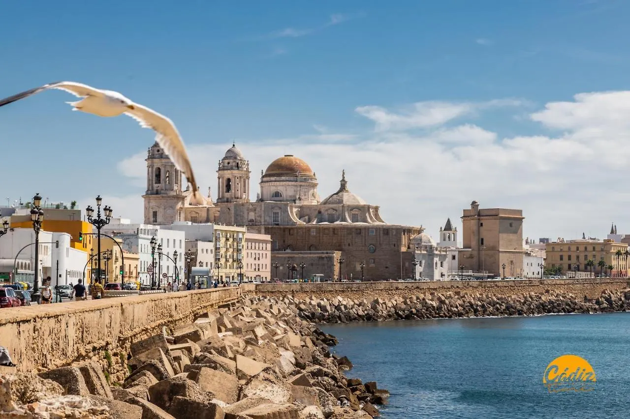El Arco Del Fotografo By Cadiz Time Apartment Spain